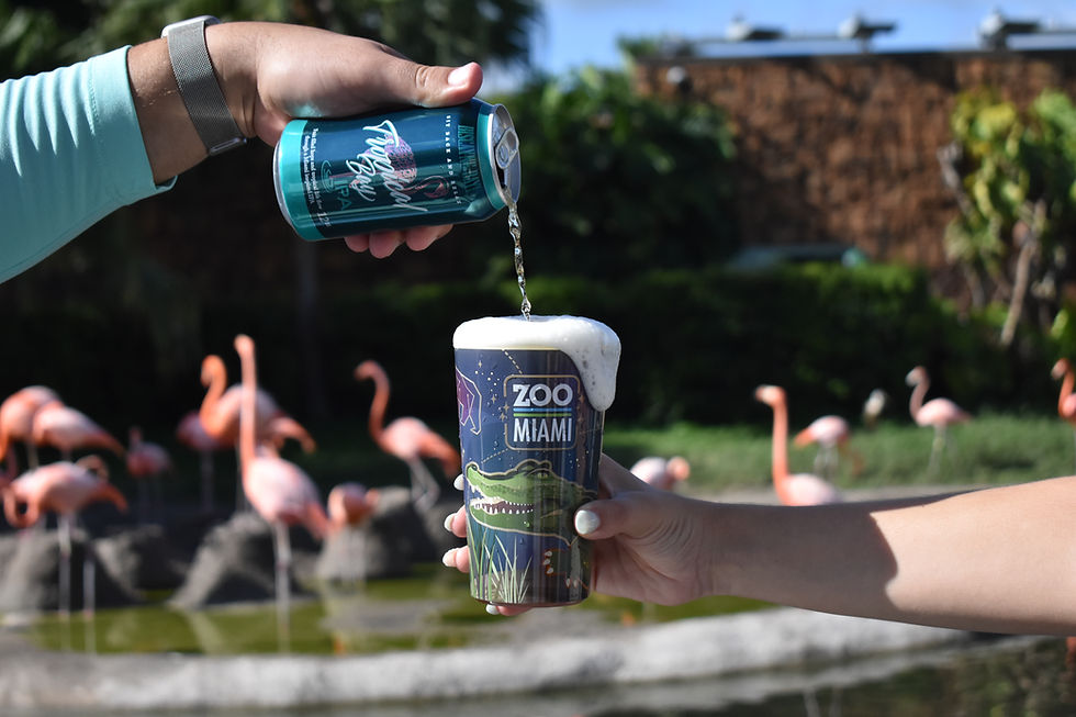 Biscayne Bay Brewing Flamingo Conservation Is Brewing a Better Future for Florida