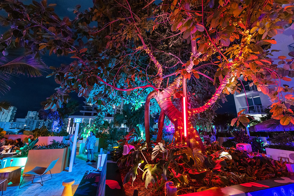 Memorial Day Miami Beach Luxury Guide