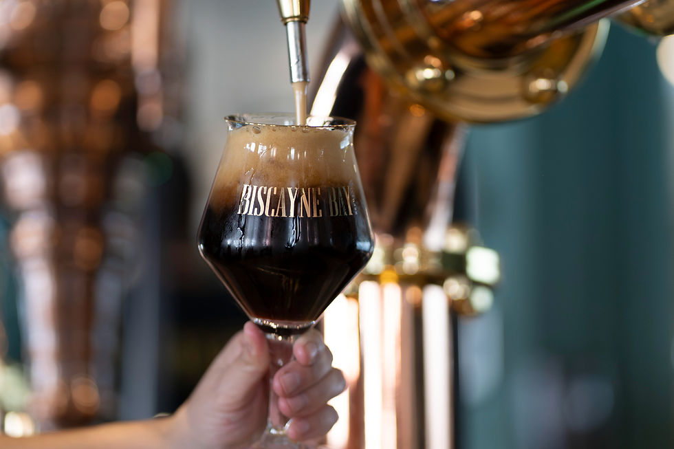 Biscayne Bay Brewing Flamingo Conservation Is Brewing a Better Future for Florida