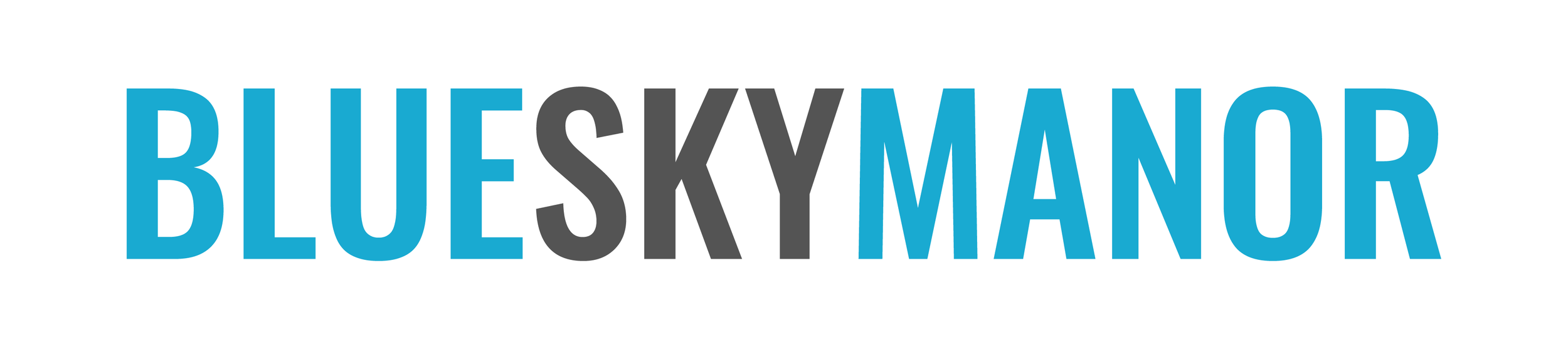 Blue Sky Manor Inc