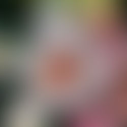 ECEP RELEASES MID-YEAR TREND REPORT 