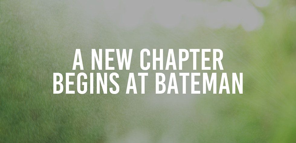 Newsletter Header.png