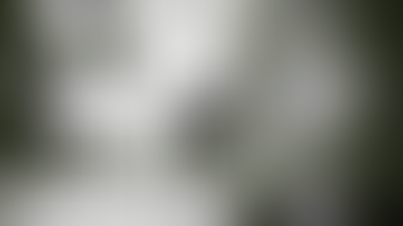 Grizzly e Berrics unidos em “United Nations”