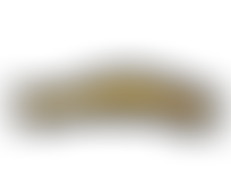 Gold Caterpillar Club brooch