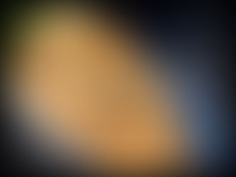 SAUMON ANETH ET CITRON