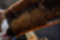 beekeeper-uncapping-honey-cells-on-the-frames-with-2021-12-22-16-17-13-utc.jpg