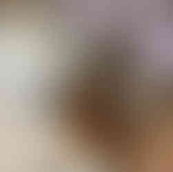 2026 Color & Design Trends