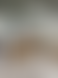 Wellness by Design: Creating Restorative Spaces with Tampa Bay Thrives