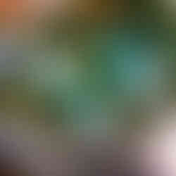 Holiday Magic Slate Studios Interior Design