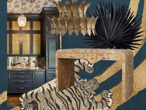 Week 2: Unveiling the Design Concept