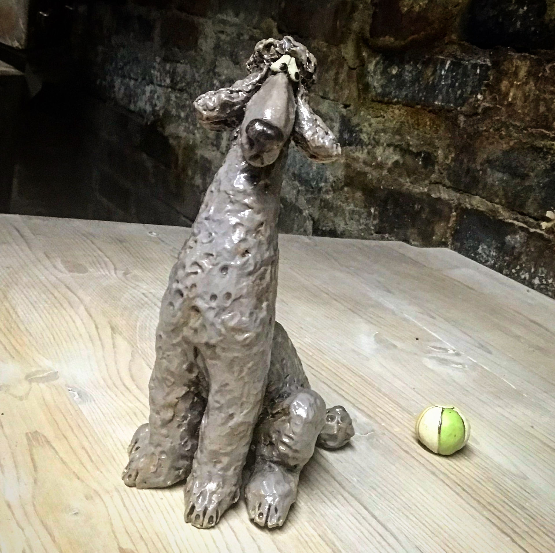 Oooh, is that a ball?