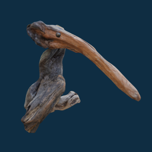 dw_goose_longenose.png
