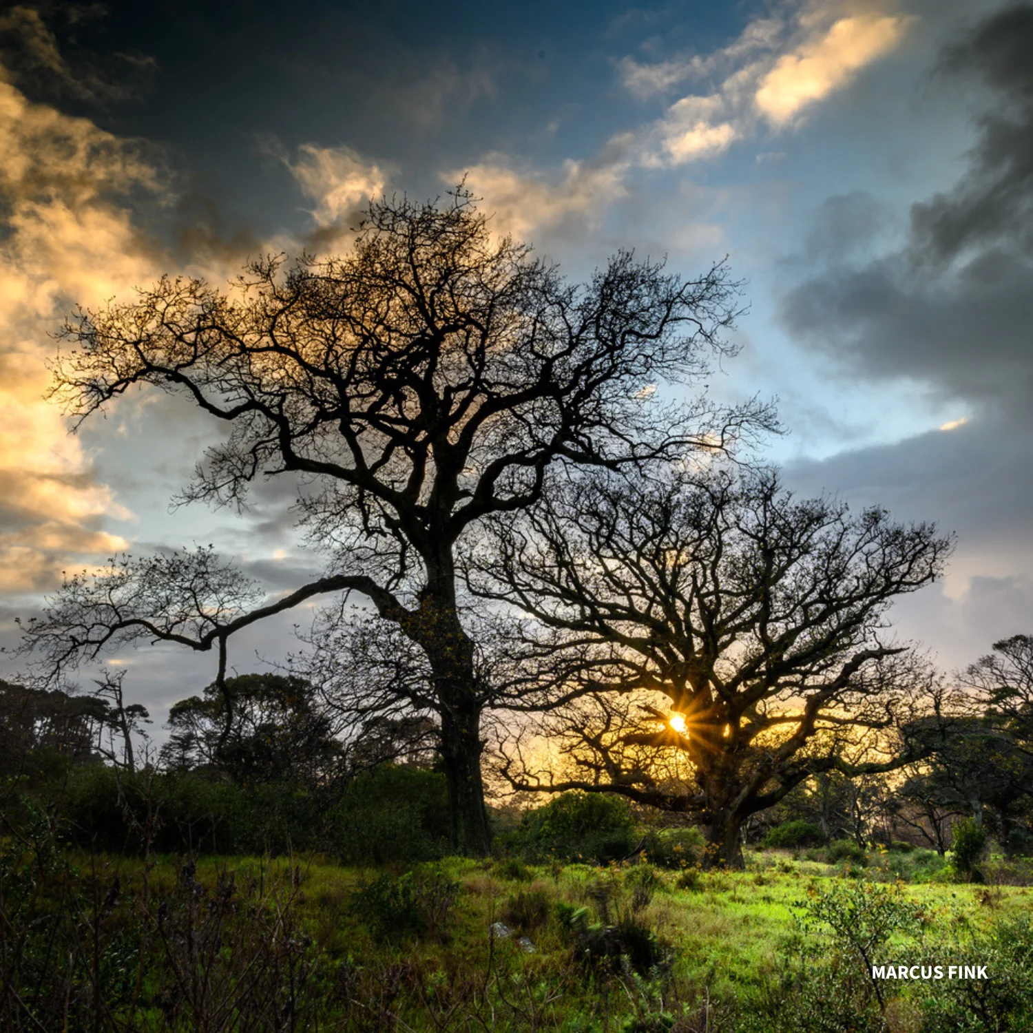 Photography Courses Cape Town_13.webp