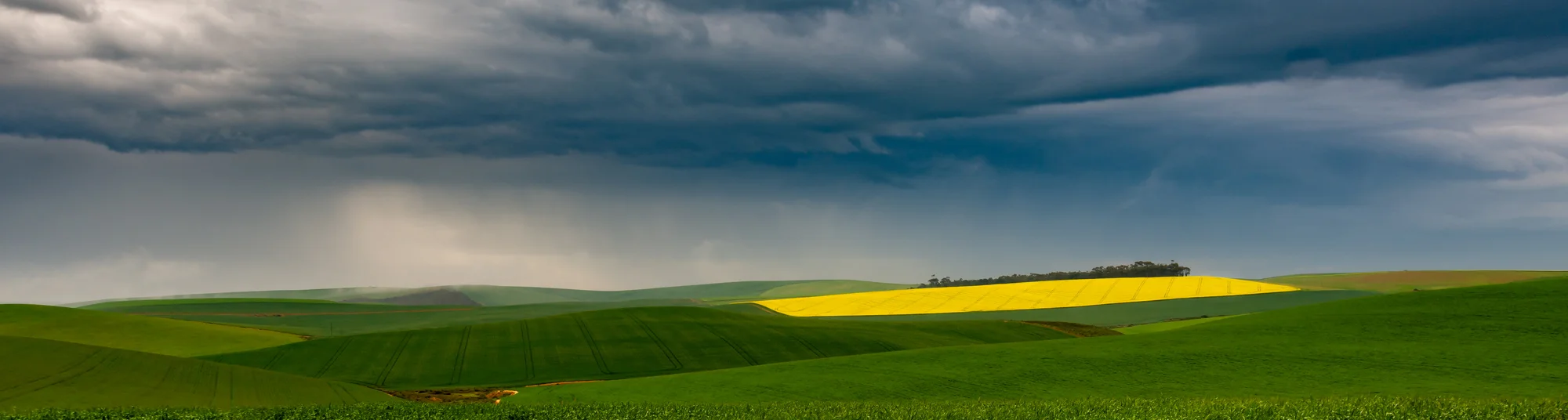 Nooitgedacht Farm 02.webp