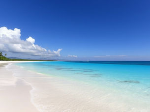 Caribbean travel advisor