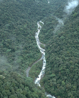 E1_River_through_forest_DJI_0069.jpg