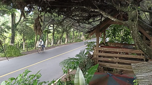 En un rincón escondido de Ahuachapán, entre árboles frondosos y el cantar de los pájaros, existe un lugar tan peculiar como entrañable: La Jungla de Don José.