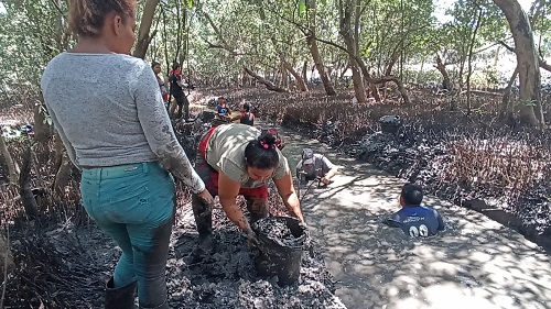 Guardianes del mangle: los hijos e hijas del estero que luchan por la vida