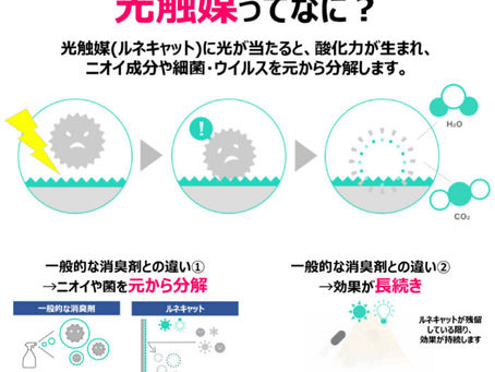單位噴灑日本光觸媒以保障妳的健康