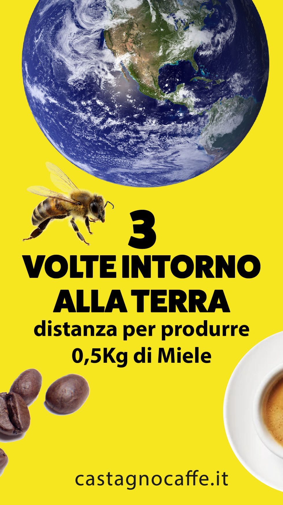 World Bee Day 2022 Castagno
