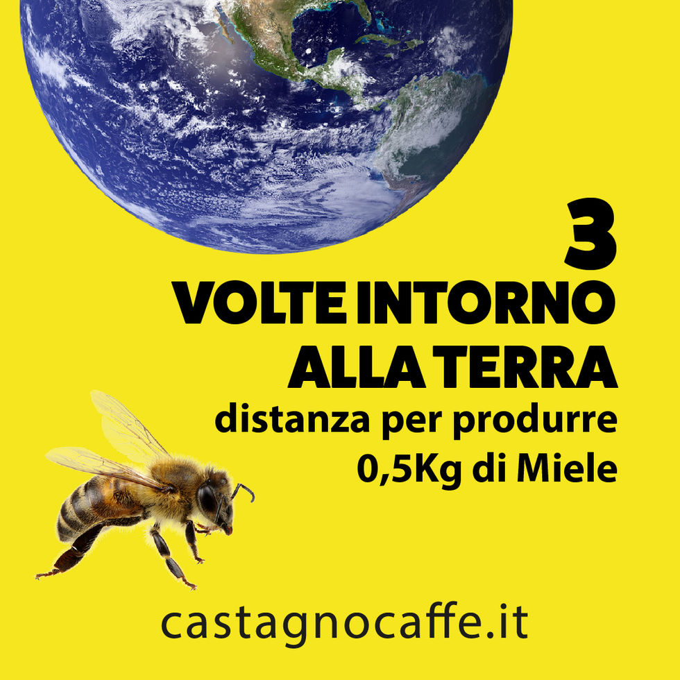World Bee Day 2022 Castagno