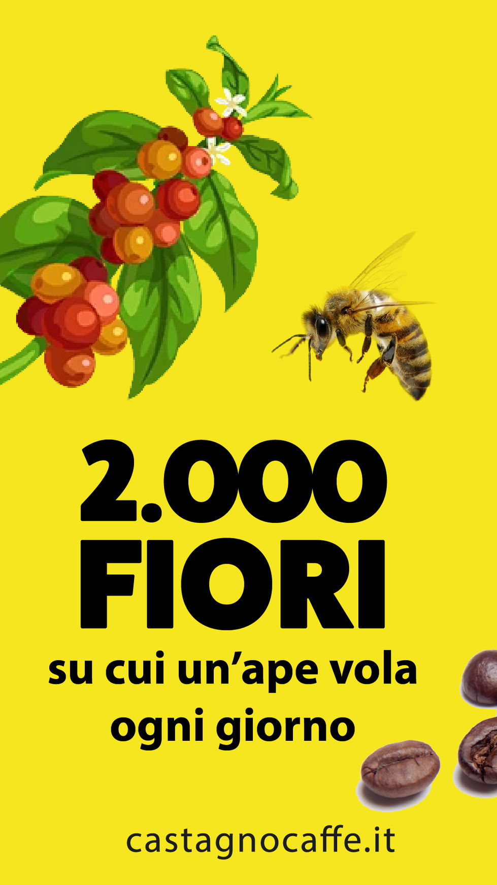 World Bee Day 2022 Castagno