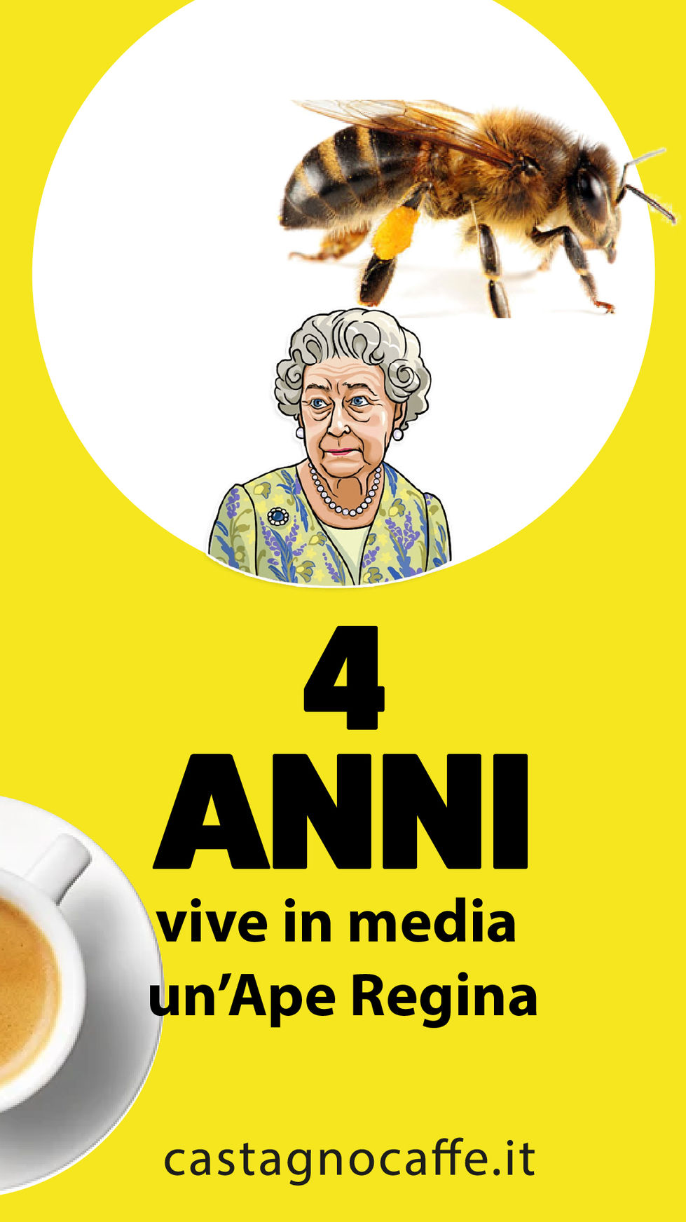 World Bee Day 2022 Castagno