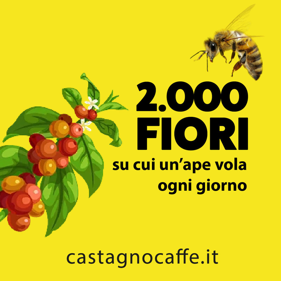 World Bee Day 2022 Castagno