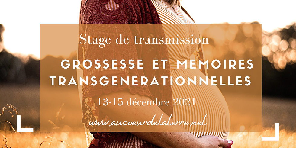 Grossesse et mémoires transgénérationnelles