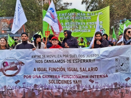 Directorio Nacional ANFINE informa gestiones realizadas en sus tres primeras semanas de gestión
