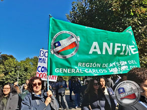 ANFINE AYSÉN en masiva marcha por Paro Activo ANEF