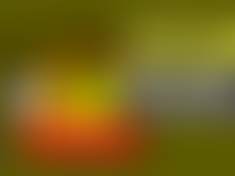 SEGUNDA PARTE CHARLA "NUEVA LEY KARIN”