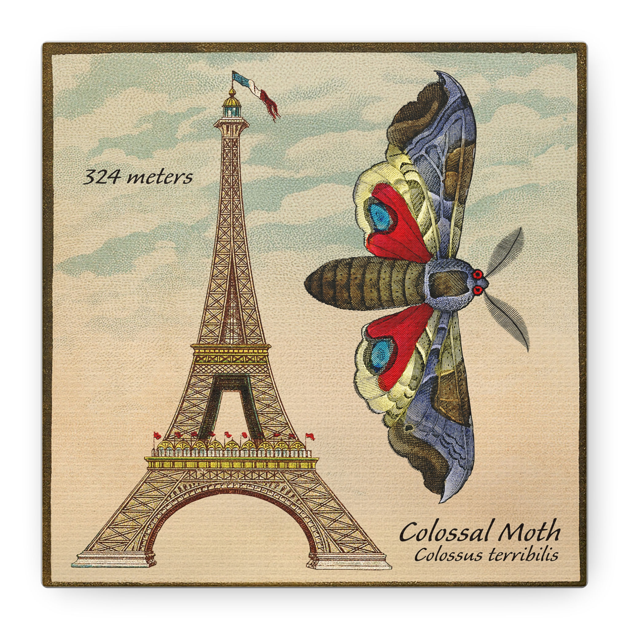 Vintage Eiffel Tower & Colossal Moth Matte Stretched Canvas Print 