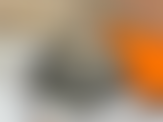 Hermès Evelyne Inspired Replica Bags – Stylish and Affordable