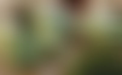 Luxury Garden Furniture Covers for Stylish Outdoor Areas