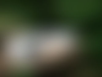 All-Weather Furniture Covers for Dubai Homes