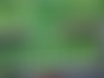 Affordable Balcony Safety Nets for Homes and Apartments