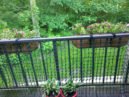 Affordable Balcony Safety Nets for Homes and Apartments