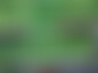 Custom Balcony Safety Nets for Every Home in Dubai