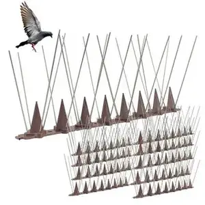 Bird Spikes in Dubai: Keep Your Property Safe from Pigeons