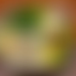 Uma alimentação sem um plano alimentar pode apresentar alguns riscos