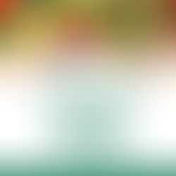 5 alimentos para aliviar os sintomas do lipedema e combater a inflamação