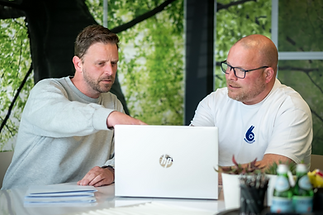 Boom vacature Projectmanager .png