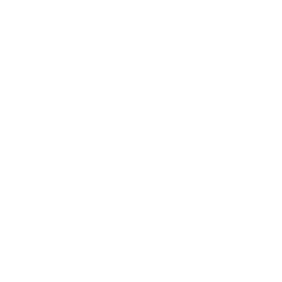 shrimp hand drawn icon