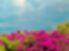 13435412-4CC2-4596-AA2C-B6462B5F7B16_1_105_c.jpeg