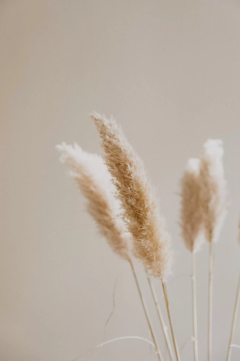 patrick-langwallner-3pR7d-tIRx8-unsplash-1365x2048.jpg