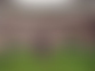 Prom Minis with The Inn at Irwin Gardens