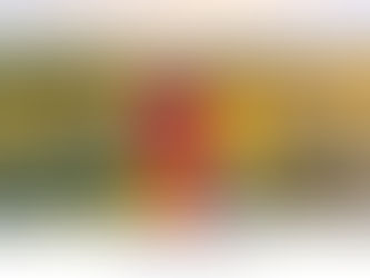 Madison- Class of 2020