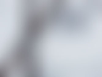 Best of 2019... Ring Shots