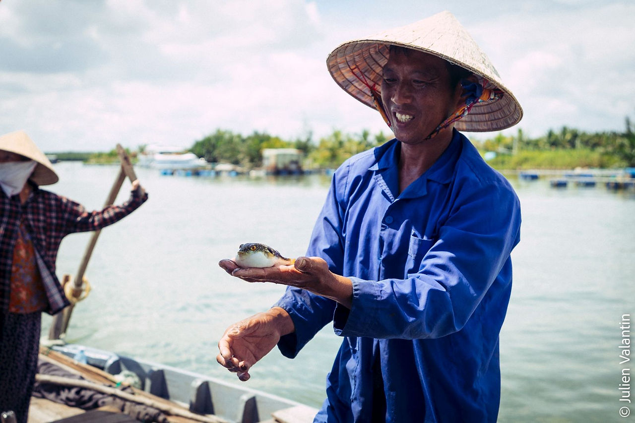 Hôi An Cam Tam - Vietnam